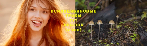 Альфа ПВП Бронницы