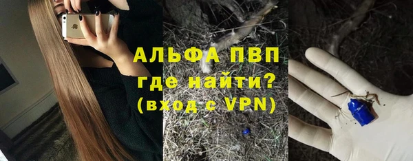 экстази Бородино
