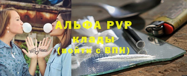 экстази Бородино