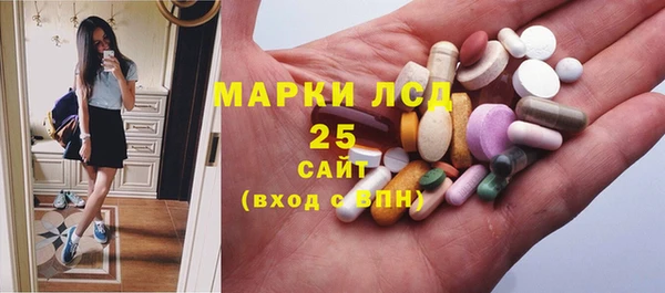 гидра Бугульма