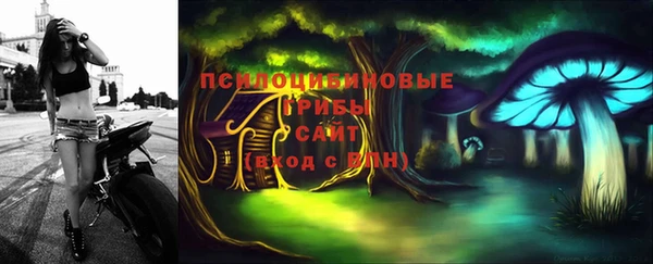 гидра Бугульма