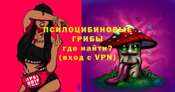соль ск Семилуки